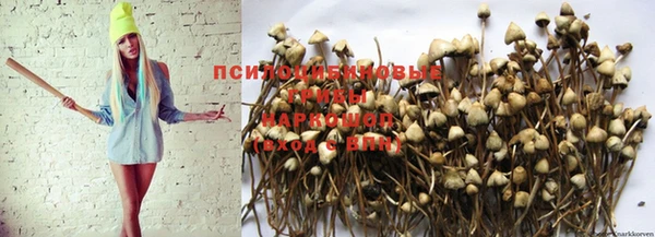 амфетамин Семилуки