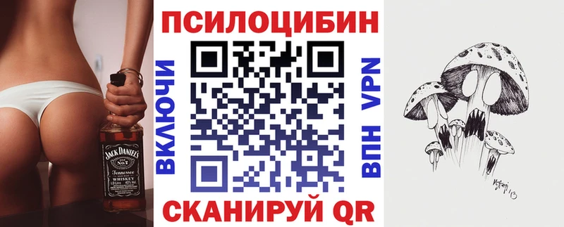 Галлюциногенные грибы Psilocybe Починок